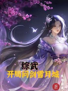 Comprehensive Martial Arts: Starting the Game in Snow Moon City