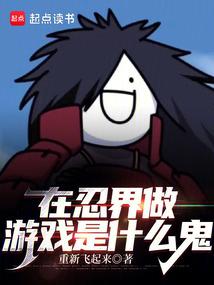 What the hell is making games in the Ninja World?.