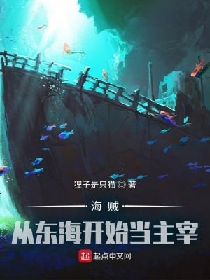 Pirates: Be the Master from the East China Sea